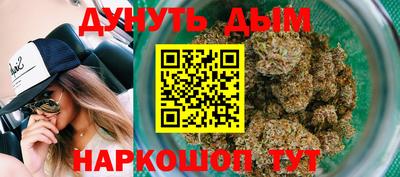 индика Северобайкальск