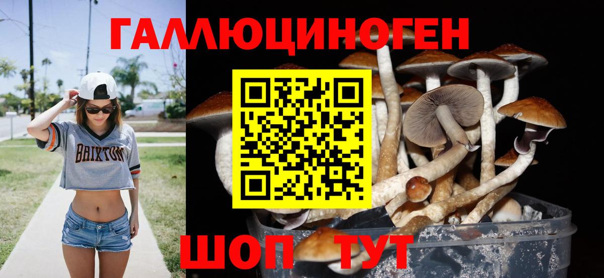 Галлюциногенные грибы прущие грибы  Псилоцибиновые грибы мицелий  Вход с VPN  Орехово-Зуево 